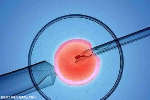 关于木棉医疗中心